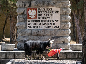Doulab Cemetery
